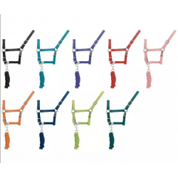 Cavezza per cavallo e pony in nylon rinforzata in tinta unita con riporti catarifrangenti compresa di lunghina